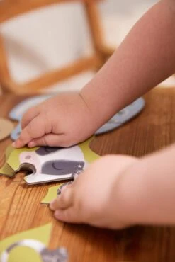 Set De 7 Puzzles – Animaux De La Ferme -Bbandco 5712804027736 6