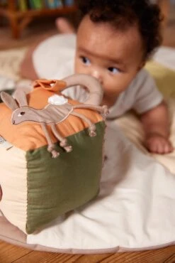 Cube Multi-activités – Lapin -Bbandco 5712804027798 6