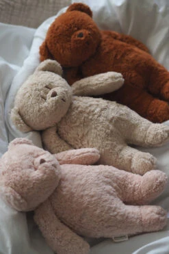 Moonie – Ourson Nature Bio Avec Sons & Lumières Sable -Bbandco 5903943986194 5